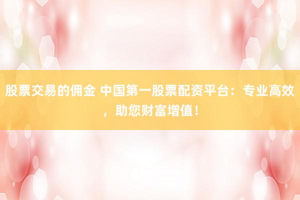 股票交易的佣金 中国第一股票配资平台：专业高效，助您财富增值！