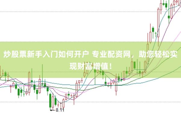 炒股票新手入门如何开户 专业配资网，助您轻松实现财富增值！