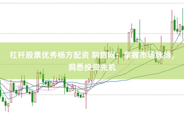 杠杆股票优秀杨方配资 期货网：掌握市场脉搏，洞悉投资先机