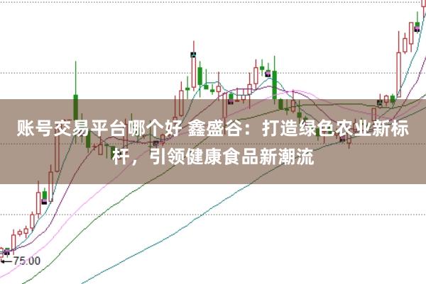 账号交易平台哪个好 鑫盛谷：打造绿色农业新标杆，引领健康食品新潮流