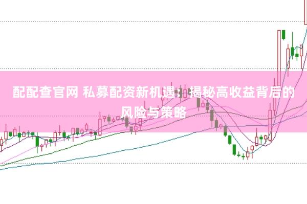 配配查官网 私募配资新机遇：揭秘高收益背后的风险与策略