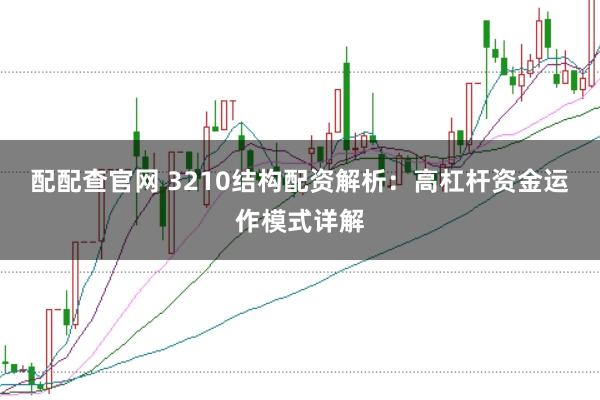 配配查官网 3210结构配资解析：高杠杆资金运作模式详解
