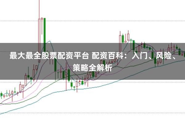 最大最全股票配资平台 配资百科：入门、风险、策略全解析
