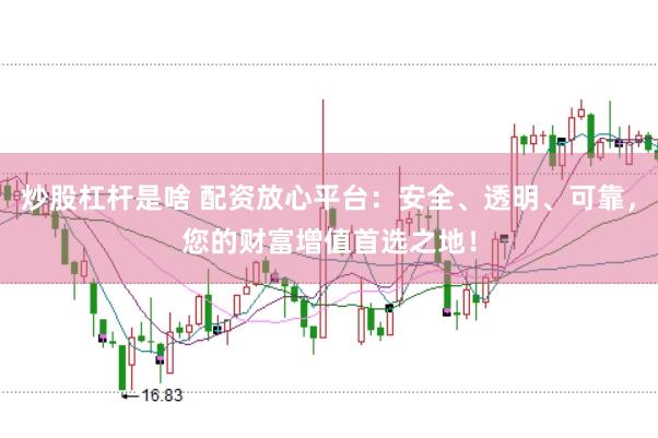 炒股杠杆是啥 配资放心平台：安全、透明、可靠，您的财富增值首选之地！