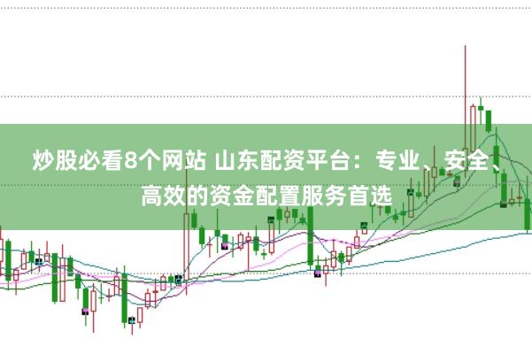 炒股必看8个网站 山东配资平台：专业、安全、高效的资金配置服务首选