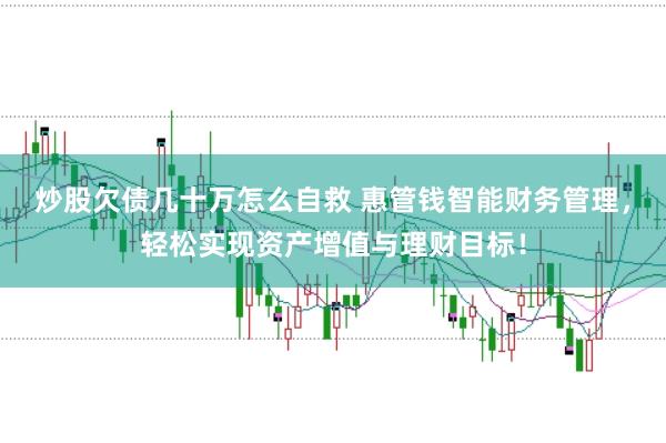 炒股欠债几十万怎么自救 惠管钱智能财务管理，轻松实现资产增值与理财目标！