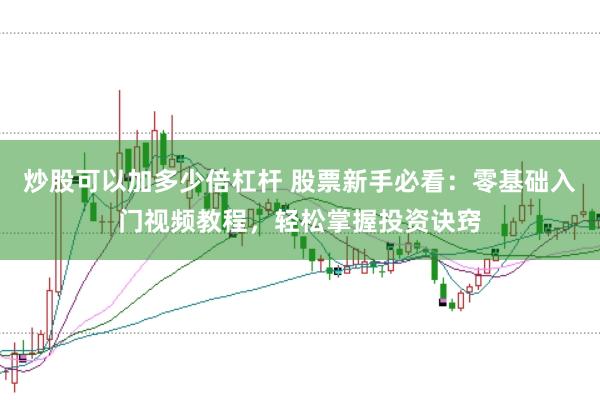 炒股可以加多少倍杠杆 股票新手必看：零基础入门视频教程，轻松掌握投资诀窍