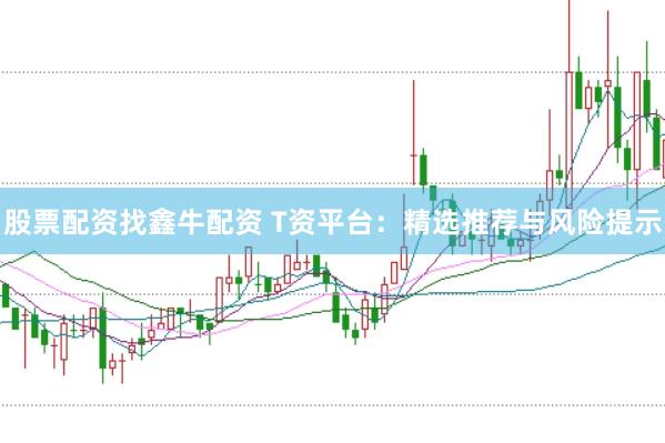 股票配资找鑫牛配资 T资平台：精选推荐与风险提示