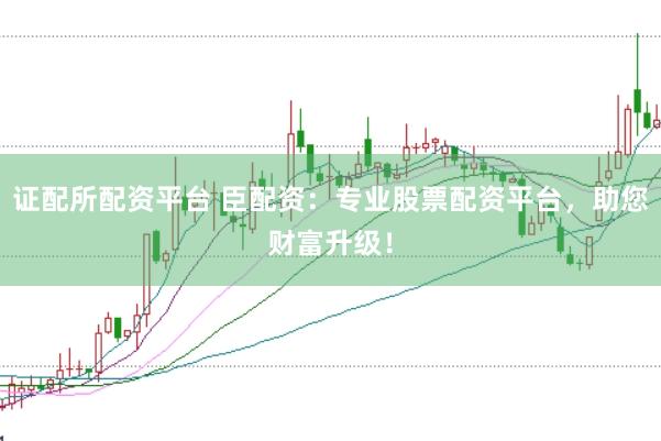 证配所配资平台 臣配资：专业股票配资平台，助您财富升级！