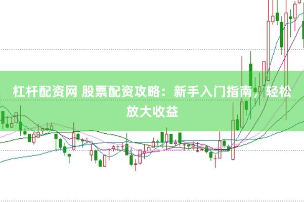 杠杆配资网 股票配资攻略：新手入门指南，轻松放大收益