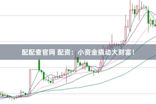 配配查官网 配资：小资金撬动大财富！