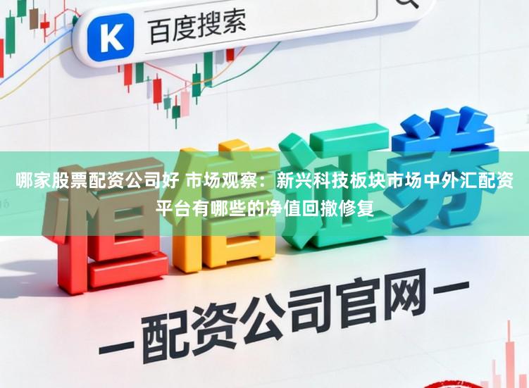 哪家股票配资公司好 市场观察：新兴科技板块市场中外汇配资平台有哪些的净值回撤修复