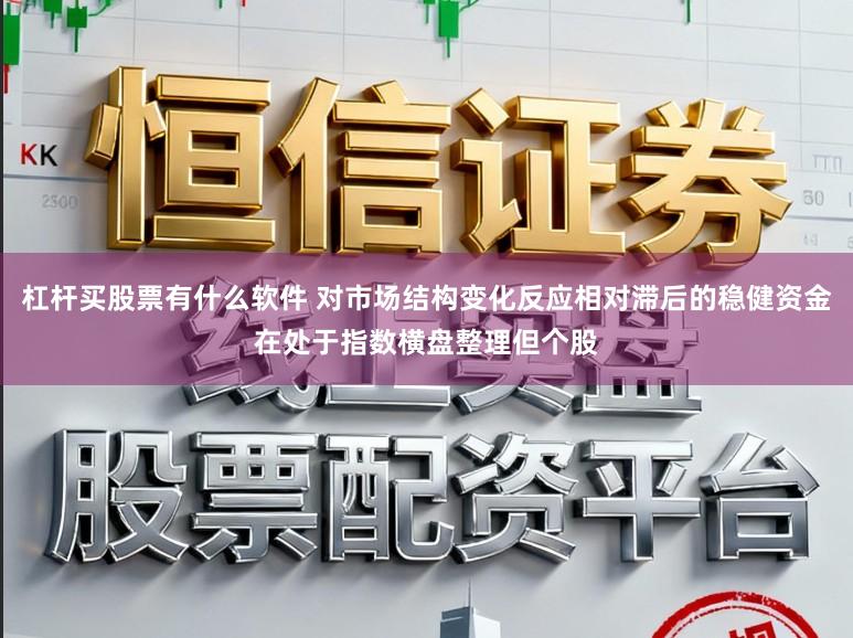 杠杆买股票有什么软件 对市场结构变化反应相对滞后的稳健资金在处于指数横盘整理但个股