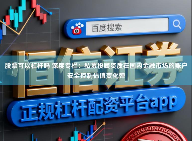 股票可以杠杆吗 深度专栏：私募投顾资质在国内金融市场的账户安全控制估值变化弹