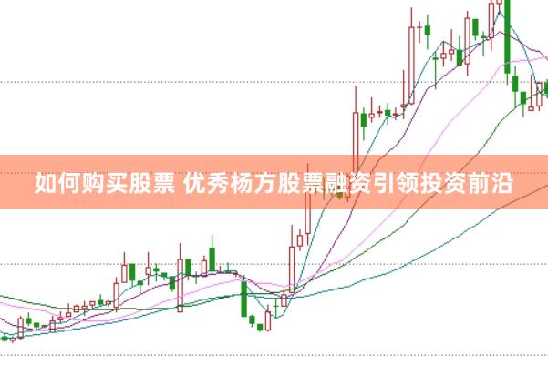 如何购买股票 优秀杨方股票融资引领投资前沿